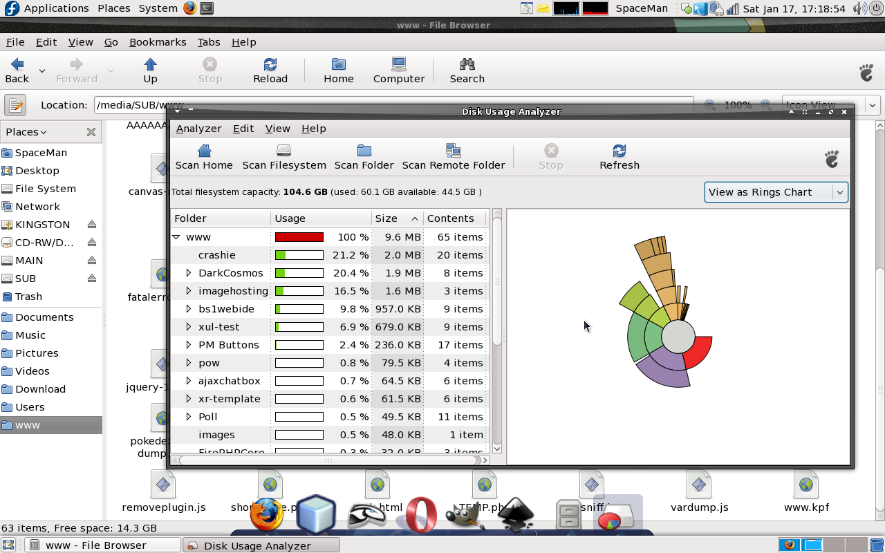 Disk Usage Analyzer